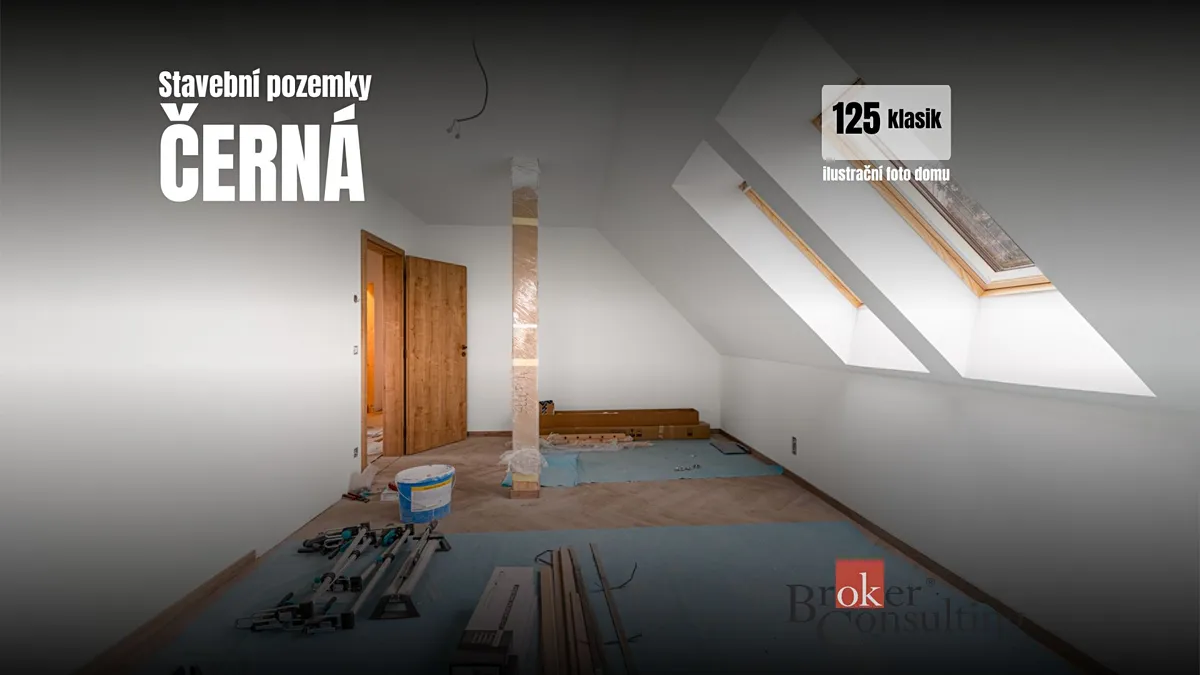 Fotka 9 z 9